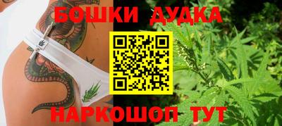 PSILOCYBIN Конаково