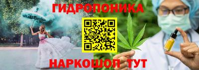 гидра Комсомольск-на-Амуре