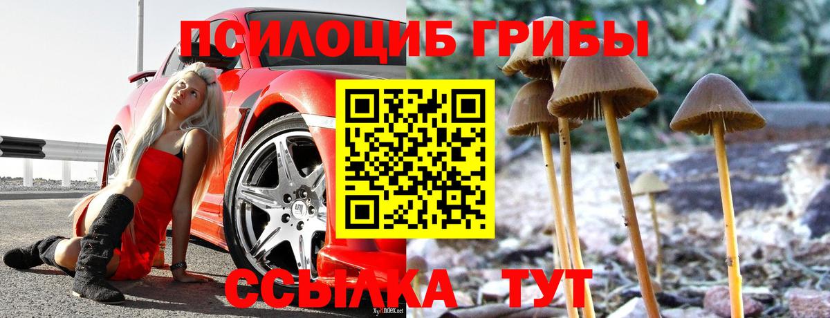 Клин  Псилоцибиновые грибы GOLDEN TEACHER  Вход с VPN 